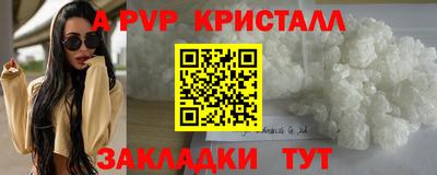 прущие грибы Будённовск