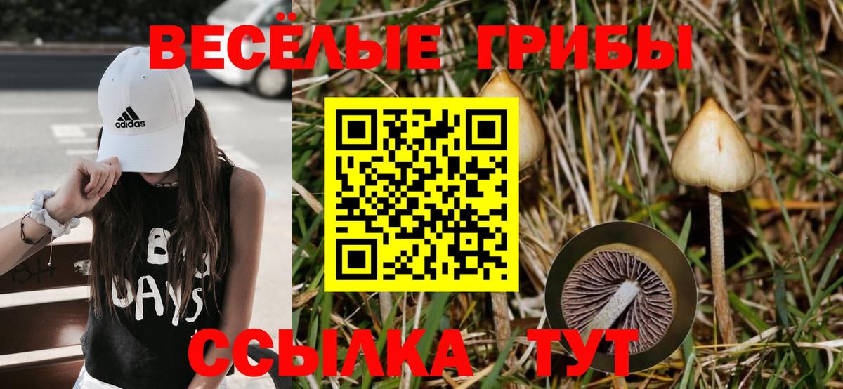 Псилоцибиновые грибы Cubensis Соликамск